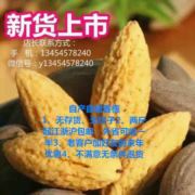 香榧之乡一袁渭军
