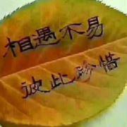 放弃世界放不下你