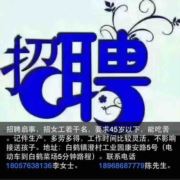 天信羽