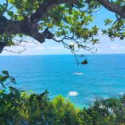 笑着活下去哈666