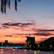 爱意风止意难平