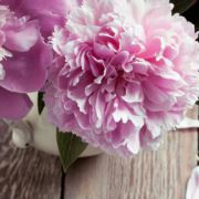 叮叮当当有故事