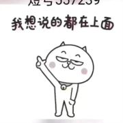 琼台大锋