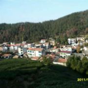 WX~172094445
