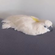往后余生风生水起