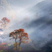 0缘来是你5201314