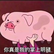人生何处不芳华