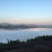 没有小小鸟的天空