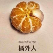 项象相