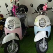 精修各种电动车