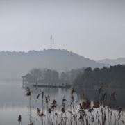 花开花谢是一年