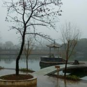 WX~178351909