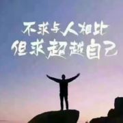 枫林的叶