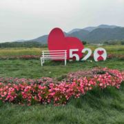 偏爱人间烟火99