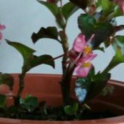 我不想取用户名