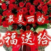 WX~179768027