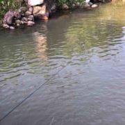 幸福小女人Xiaxia