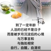风帆品味人生