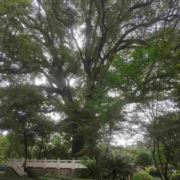 半生已过学会沉默