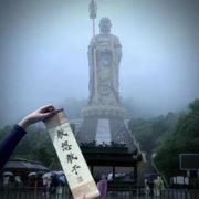 上虞飞翔家电