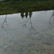WX~182590163