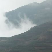 WX~182610165