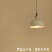 沈小姐778