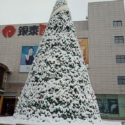 WX~183100289