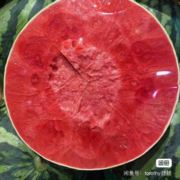 有机绿色食品5009