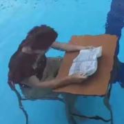 骑自行车的兔子