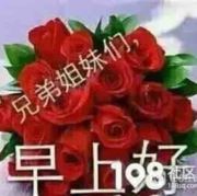 WX~183779469