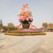 tcy~183868750