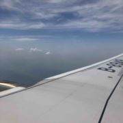 tcy~184005424