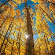 莫个地方会特别亮