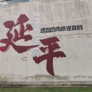 大龄单身12345