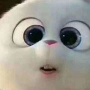 也许今生是我的错