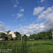 WX~185891340