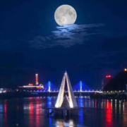 tcy~186091621