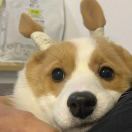 绍兴润泽膜结构