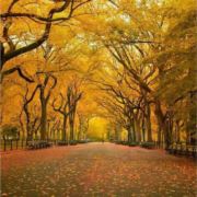 柴米油盐酱醋茶烟