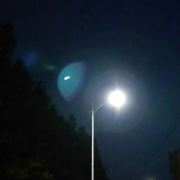 原来孤独已成瘾