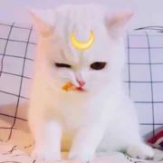 要不要这样说自己