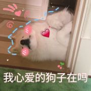 热心观众李女士