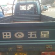 tcy~186377550
