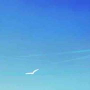 多瑙河是蓝色的