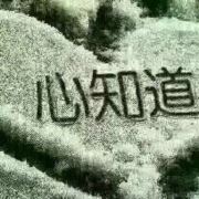 半生风雨一身伤