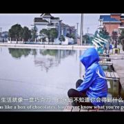 WX~186406854