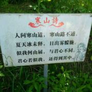 悟今