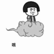 WX~186438408