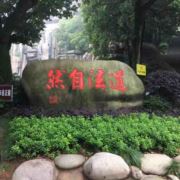 泰山之巅1118